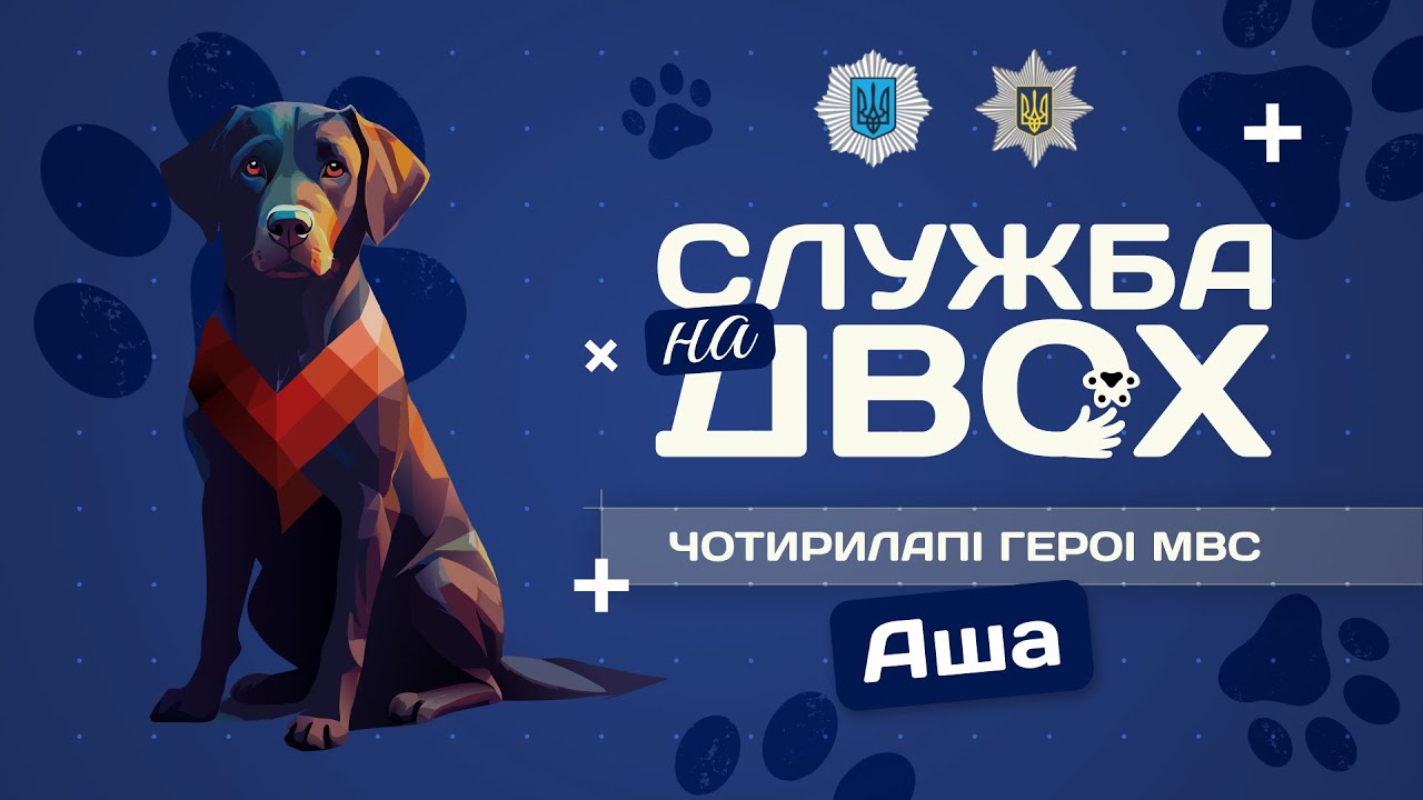 🚨 АША – поліцейська собака-універсал | Служба на двох