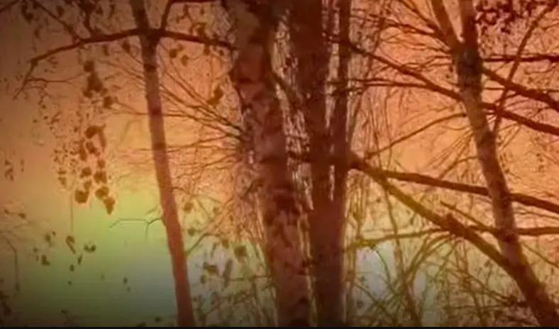 Уражено НПЗ у РФ та місце зберігання дронів Криму